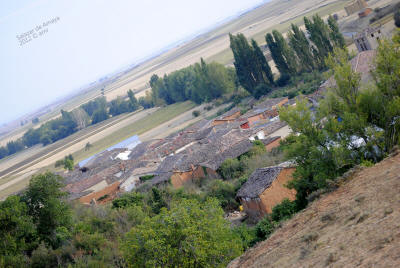 _DSC0251.JPG (509568 bytes)