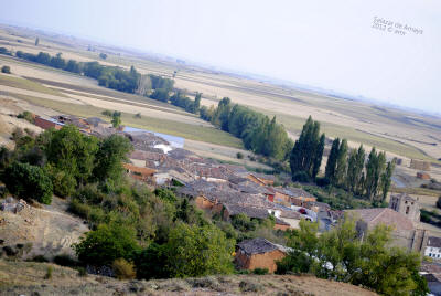 _DSC0254.JPG (454175 bytes)