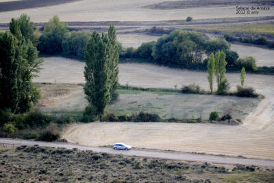 _DSC0258.JPG (422545 bytes)