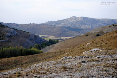 _DSC0260.JPG (399277 bytes)