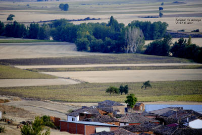 _DSC0263.JPG (446787 bytes)