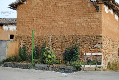 _DSC0271.JPG (542560 bytes)