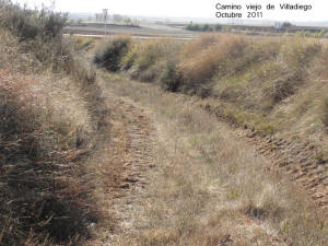 PA300565.JPG (264541 bytes)