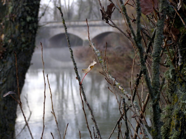 Río Odra. Puente nuevo de Sandoval de la Reina. 1 de diciembre de 2006.