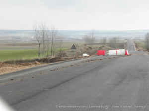 PC123695.JPG (282016 bytes)
