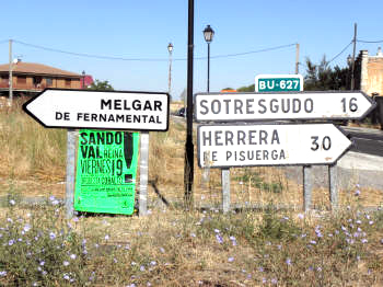 P8168331.JPG (326393 bytes)
