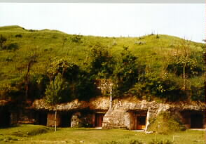 Bodegas