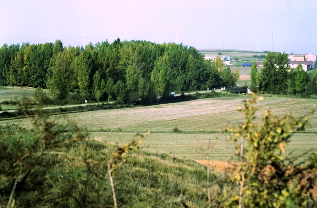 Sandoval de la Reina - Vegetación junto al río Odra - Año 2001