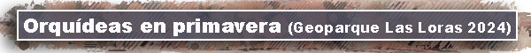 barra