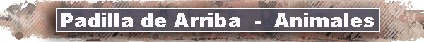 barra