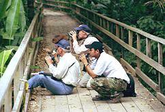 observando aves en el lago Sandoval - foto peruperu.com