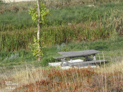 P9140017.JPG (641642 bytes)
