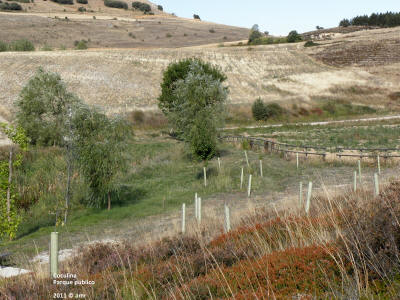 P9140018.JPG (704661 bytes)