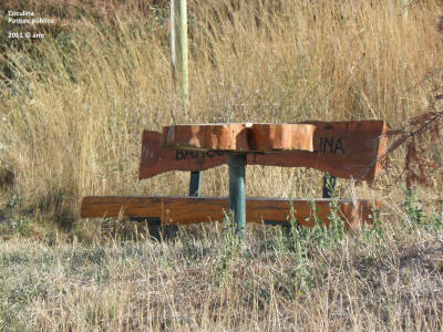 P9149968.JPG (669373 bytes)