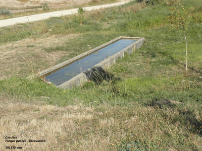 P9149976.JPG (671168 bytes)