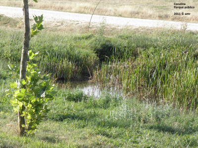 P9149986.JPG (684744 bytes)