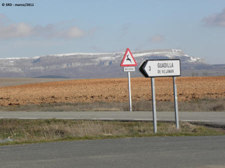 P3054917.JPG (398970 bytes)