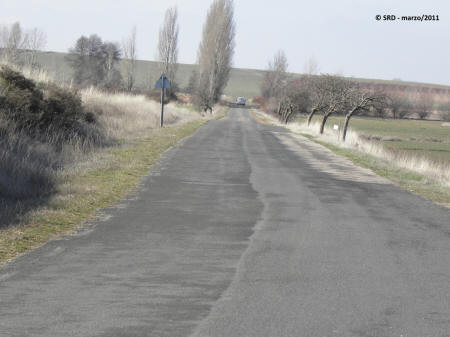 P3054926.JPG (424813 bytes)