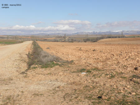 P3054943.JPG (467483 bytes)