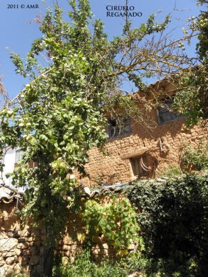 P8168355.JPG (604856 bytes)