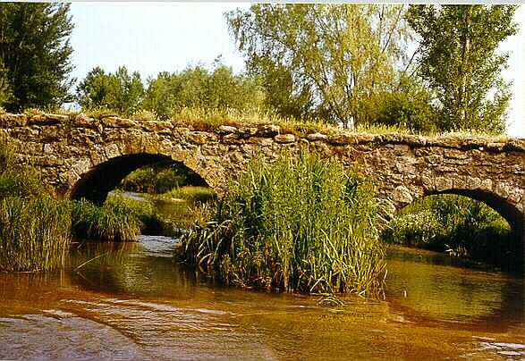 Puente romano sobre el Odra